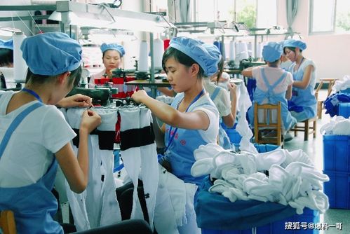 沒有品牌就沒有出路 京喜12.12以工廠貨爆款帶動商家發展