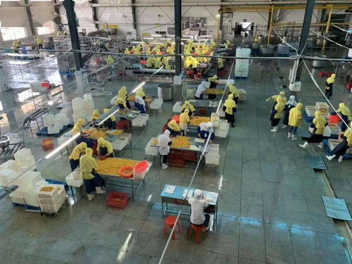 湖北食品廠季節(jié)性員工招聘啟事